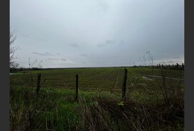 De Vânzare: -casă 2 camere, Piatra-OLT, 50mp, 2012mp teren, 37000 EUR - 12