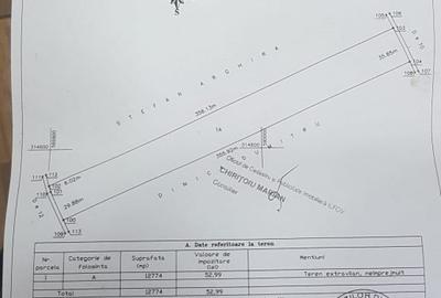 Teren extravilan Sintești 12774 mp - 5
