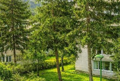 Apartament 2 camere,luminos,incadrat de liniste si verdele naturii,Ultracentral, - 5