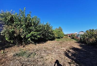 Teren de vanzare in zona Ostroveni - 8
