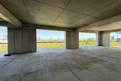 Vedere spre parc - apartament 4 camere de vânzare - zona Domenii - 7