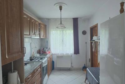 Casă cu teren 3.000 mp de vânzare, str. Adevărului-CV0529 - 5
