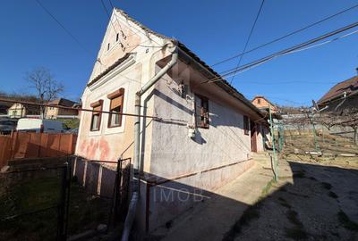 Casă de vânzare în Ocna Sibiului – oportunitate de investiție - 2