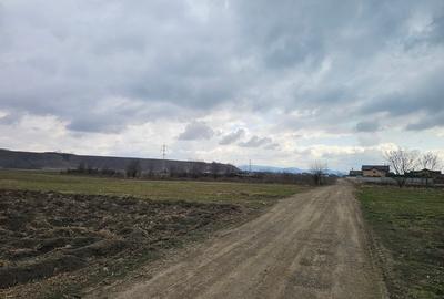 Oportunitate investitie – Teren intravilan in Bacau - 4