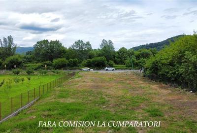 TEREN 2153 MP, BUJORENI - DESCHIDERE LA DN7 - 6