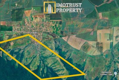 Teren agricol de vânzare 17,51 ha Covăsânț – 7.000 €/ha - 4