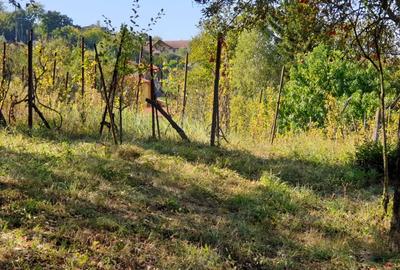 Imobilstar vinde teren unic la Platou ptr. proiect individual - 2