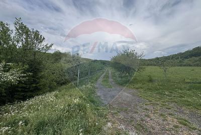 Proprietate OFF-GRID 5,76 Ha. Casa tradiționala lemn. Limită Cluj - 25