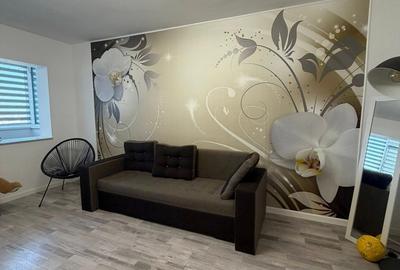 Apartament cu 2 camere decomandat, mobilat în Anda