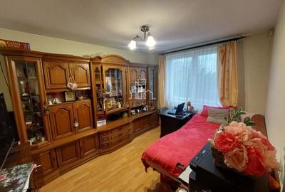Casa De Vanzare, 1.700 Mp Teren, Strada Marului, Unirii - 6