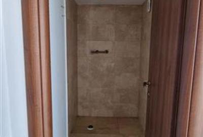 Inchiriere apartament 3 camere, Unirii, Terasa 174 mp, bloc 2018 - 14