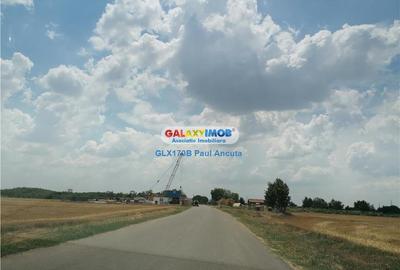 Teren Moara Vlasiei 40000 mp str Drumul Teilor Industrial utilitati - 2