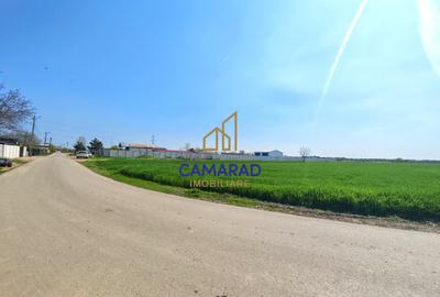 Teren intravilan 13.602 mp | Dragomiresti Vale | Sos. de Centura - 7