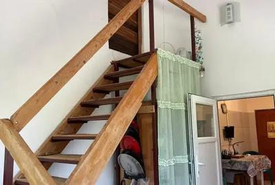 Casa cu 4000 mp teren, Letca Noua, Giurgiu — 1h de București - 15