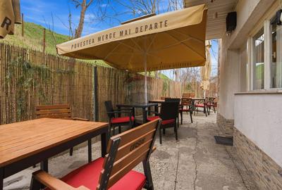 Spațiu comercial tip vilă cu terasă – Frumoasa, Iasi - 11