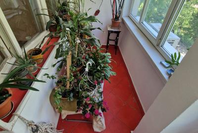 3 CAMERE IN VILA P+3 | GARAJ | BOXA | 93 MP | Pajura - 17