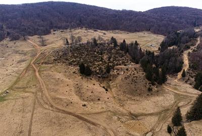 Teren Intravilan 6500 MP- Valea Poienii Aviatorilor ,Aproape de Poiana Brasov si - 8
