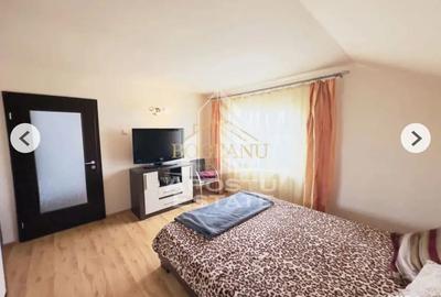 Vila cu 7 camere de închiriat , Centrală pe lemne , Dudesti Noi- Timis - 3