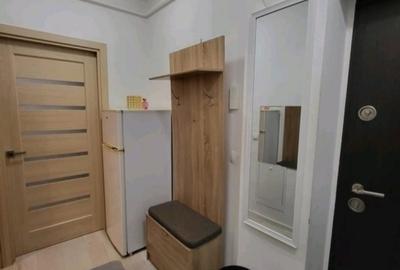Apartament cu 1 camera - zona Tudor Vladimirescu - Iulius Mall - 8