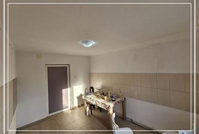 Opurtunitate si liniște Casa de vânzare la cheie Mocrea Jud. Arad - 12