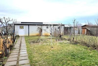 Duplex - Mosnita Noua - 24