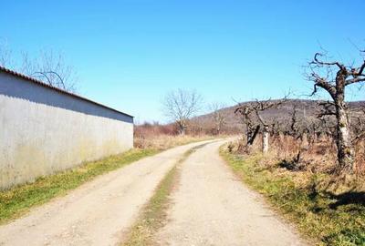 Via Solarino, 3 km de oras! Vanzare Teren Intravilan 1000 mp in Viforata. - 1