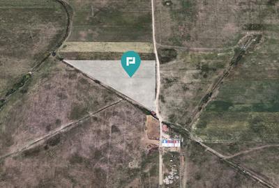 Teren Construcții extravilan de 4300 mp, în Giroc