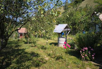 Teren cu cabana de vanzare - 6