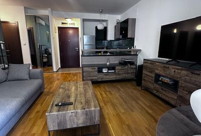 Inchiriere apartament lux 2 doua camere - Baneasa - Gradina Zoologica - 8