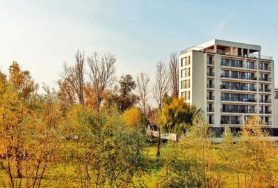 Panorama Lake