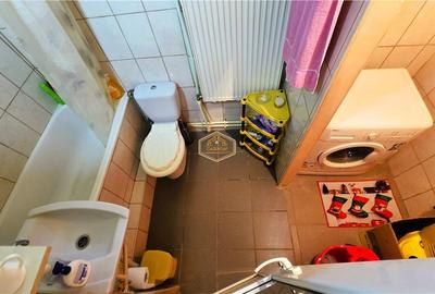 VIDEO | Casa cu teren generos si deschidere la 3 strazi | 10 minute de Satu Mare - 14