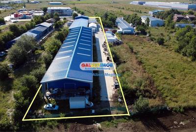 Vanzare 2 Hale 2515 mp + teren 6200 mp Magurele - 15