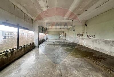 Investitie/vanzare/inchiriere-teren/4000mp/hala-zona de nord - 13