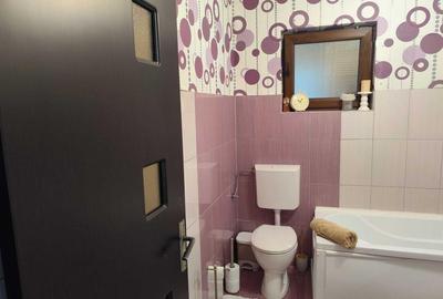 Casa P+M+T utilata si mobilata in Mocira, cartierul nou - 18