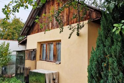 VIND VILA CU SPATIU INDUSTRIAL LOCUIT (pretabil la orice activitate) DASCALU IF - 11