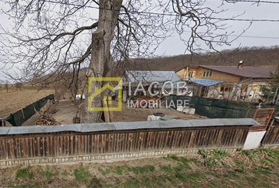 OFERTA !!! Teren intravilan, strada Potcoavei, sat Tamasi, judet Bacau - 3