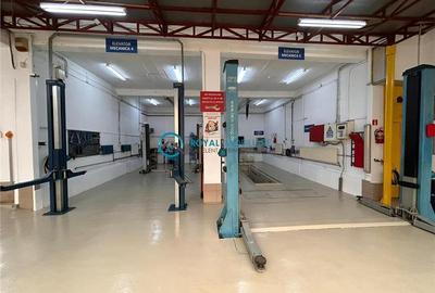 Royal Imobiliare - Spatiu industrial - service auto - 8