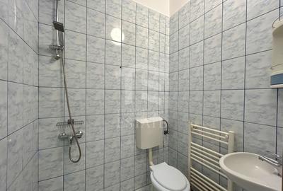 SAD 90 mp | Str. Cluj- Aries | VAD auto si pietonal | trifazic - 18