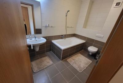 Apartament deosebit. Terasa 35 mp. Zona linistita In Plin Oras - 15