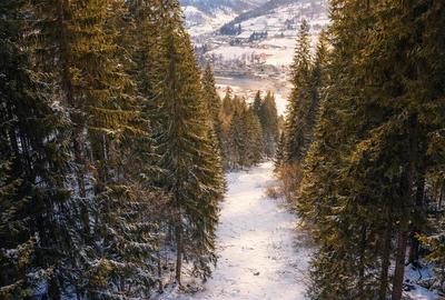 FILM!Teren 7.800mp,fosta partie de schi,investitie turistica/agrement,Lunca Brad - 2