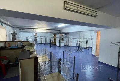 Spatiu Comercial de Vanzare in Marasti, 200 mp, Intrari Separate - 13