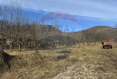 Teren intravilan 1.271 mp – Izvoarele, jud. Alba - 12