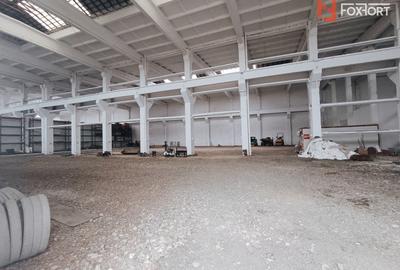 Spațiu industrial, 2200 mp în Șagului