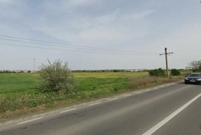 Teren intravilan pentru hale industriale / logistică – Varianta Constanța - 1