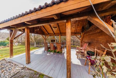 Proprietate pretabila pentru afacere, Cladova - 33
