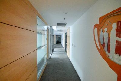 RAMS Business Center, Basarabia, 200 - 1753 mp  0% comision! - 14