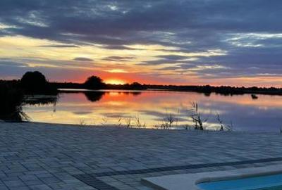 Snagov 2022- Vila la lac piscina si ponton, teren 2050mp - 12