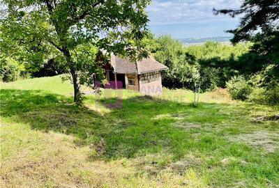 Teren 3581 mp | Marginimea Sibiului | priveliste superba - 1