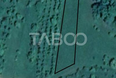 Teren pretabil cabana sau gradina 1670 mp zona deosebita Sibiel - 1