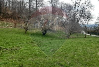Casă / Vilă cu 7 camere   în zona Bran-Tohanita - 11
